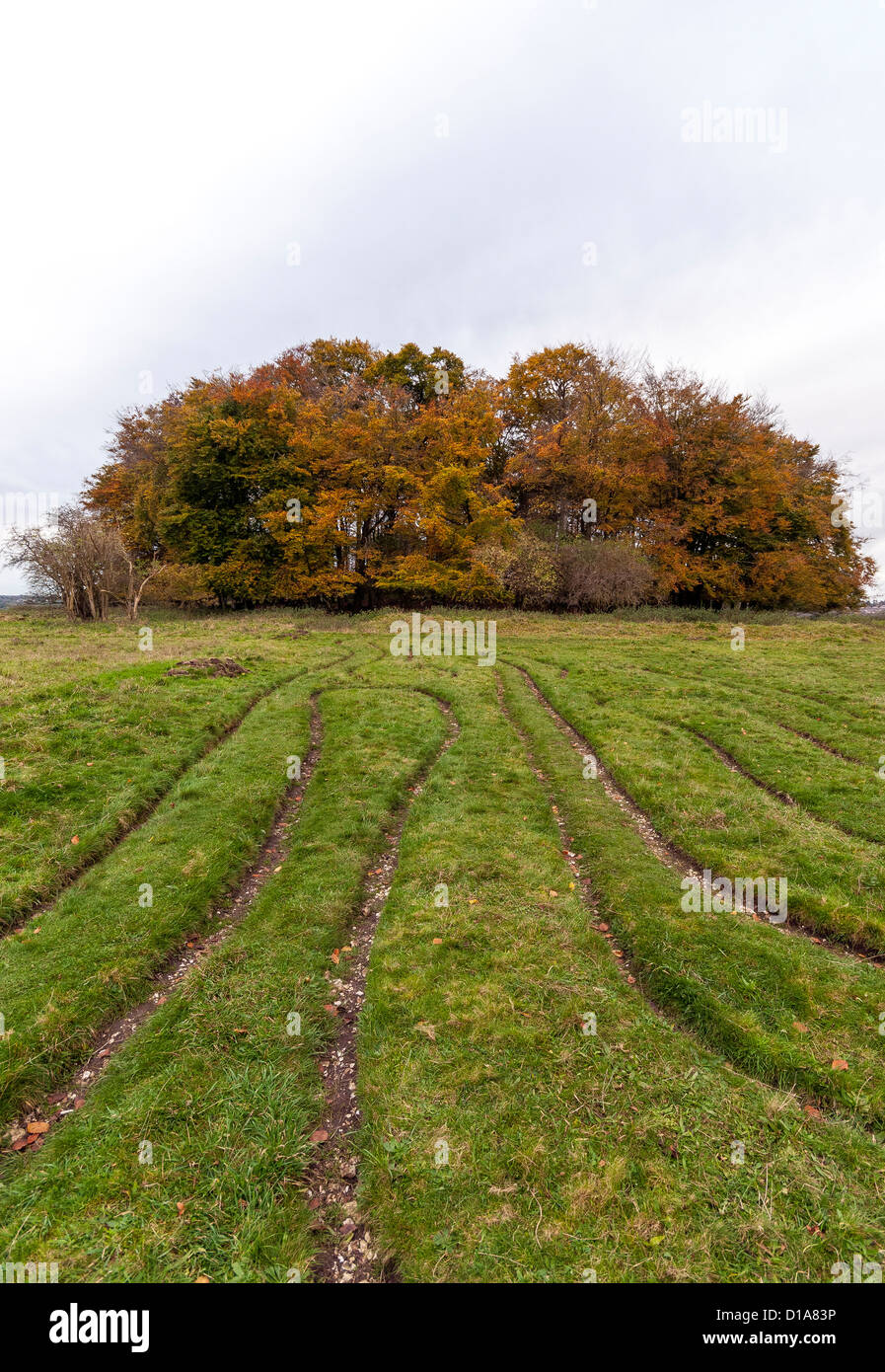 Le mizmaze historique un labyrinthe de gazon sur la colline de St Catherine à Winchester, Hampshire England UK Banque D'Images