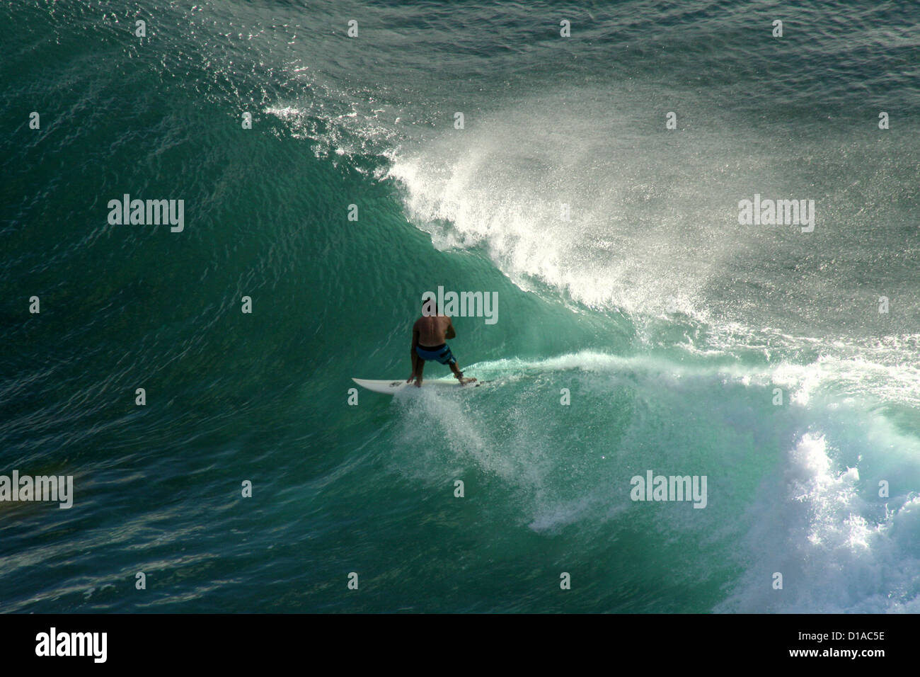 Big wave riding surfeur avec Ocean Spray, Maui, Hawaii Banque D'Images