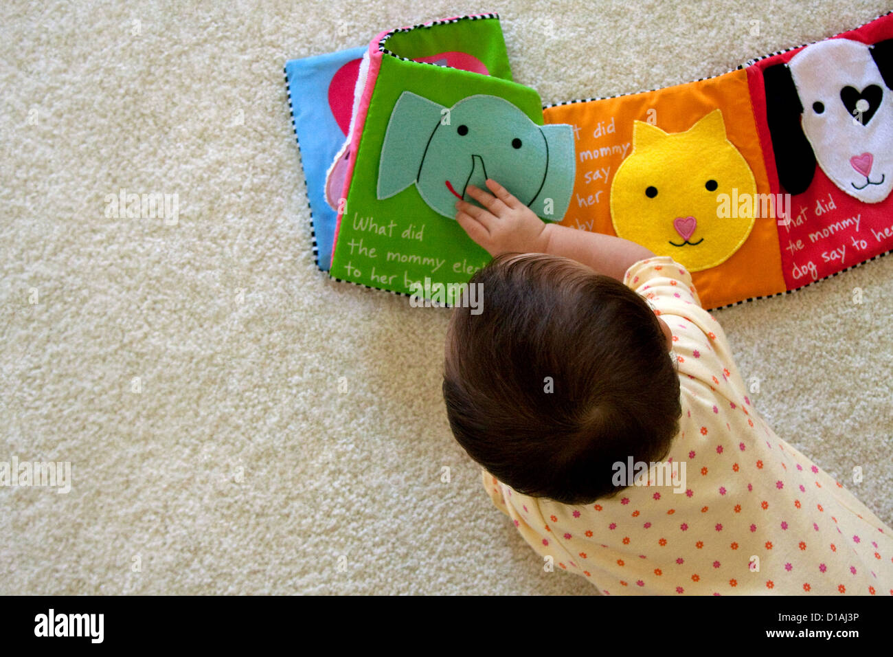 Bébé âgé de dix mois, le jeu et l'apprentissage Banque D'Images