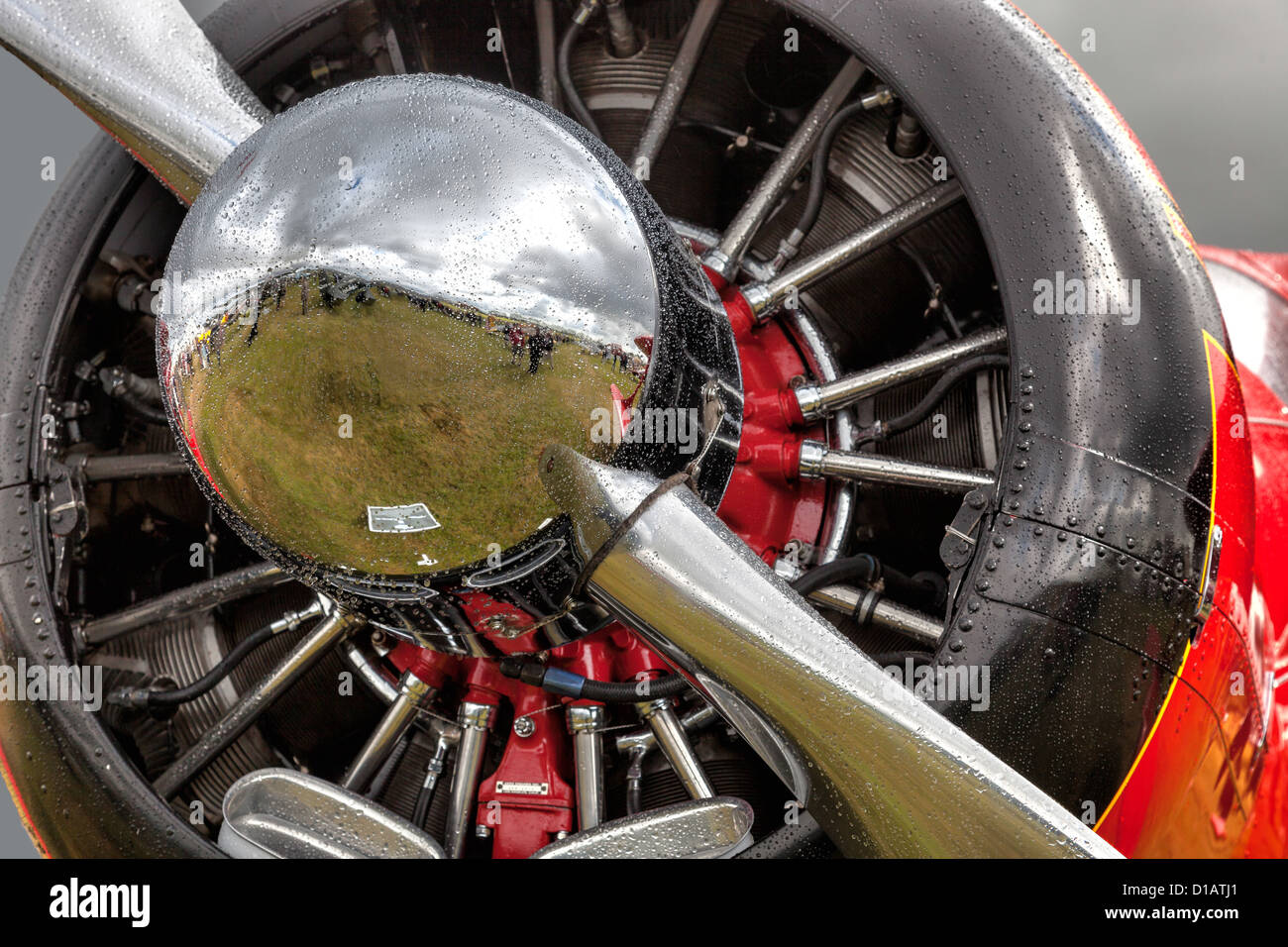 Close up de la Rockette rouge Banque D'Images