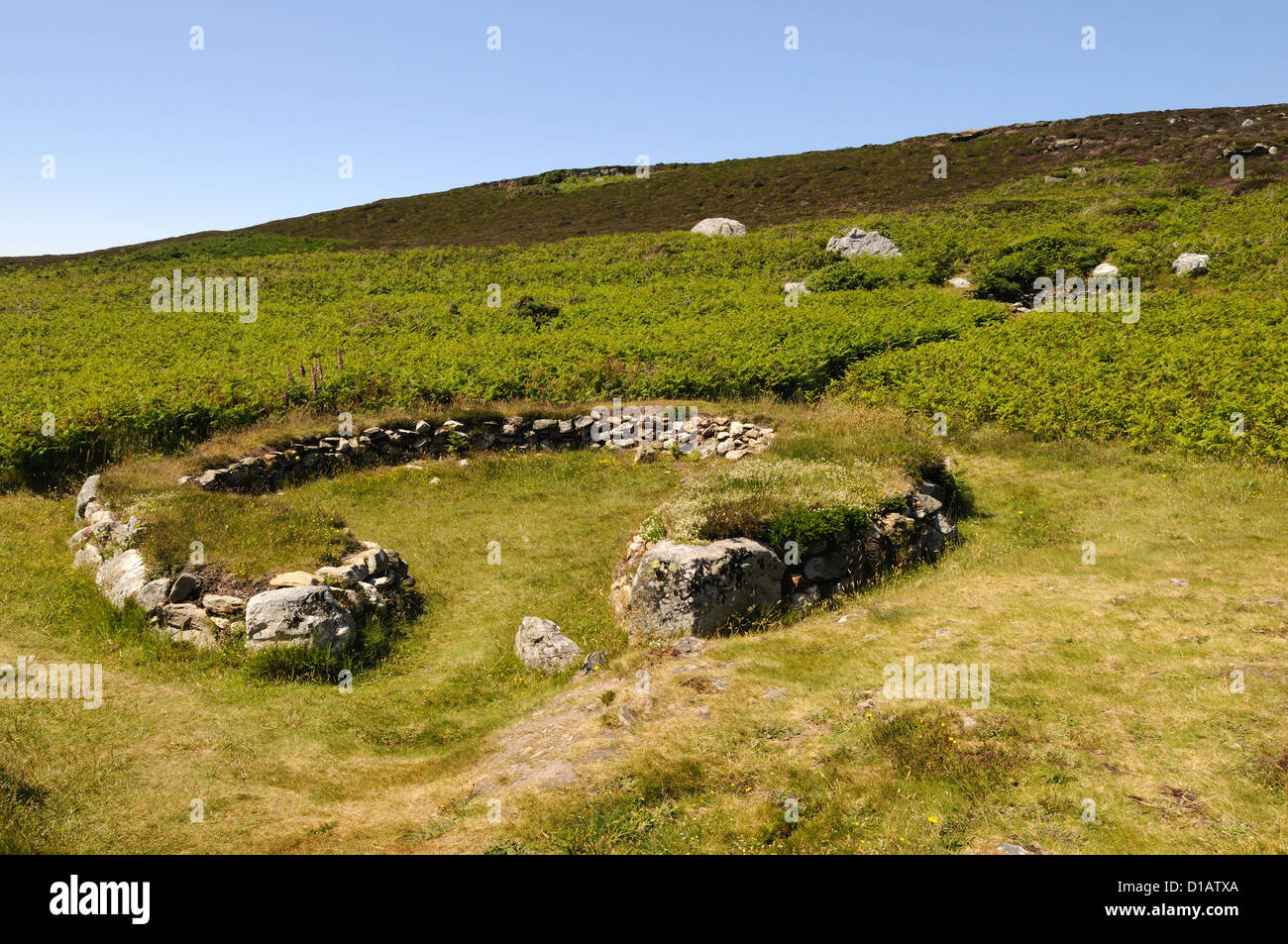 Gwyleddod Cytiau'r cabanes de pierre préhistoriques irlandais hut circles Holyhead Mountain Anglesey Pays de Galles Cymru UK GO Banque D'Images