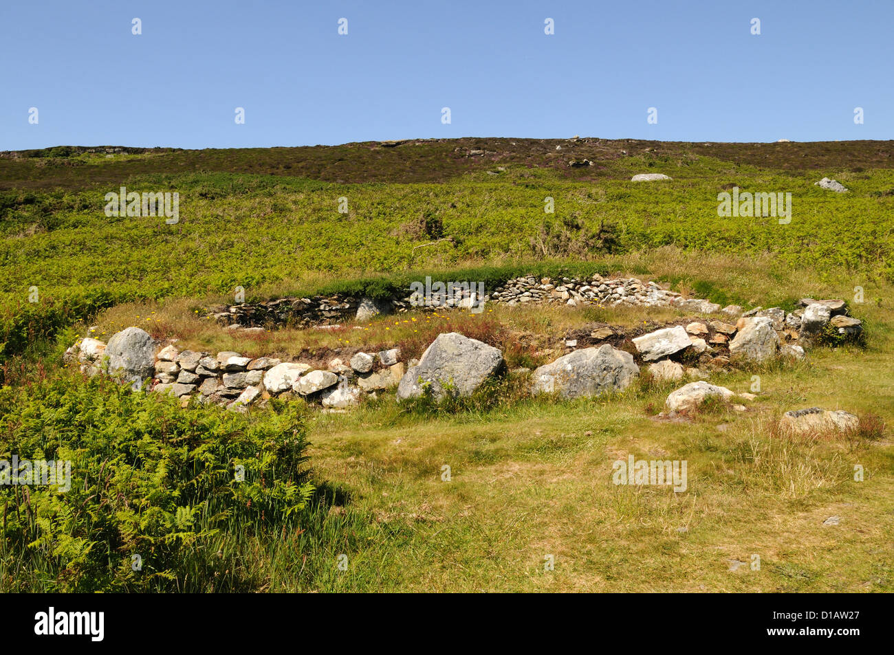 Gwyleddod Cytiau'r cabanes de pierre préhistoriques irlandais hut circles Holyhead Mountain Anglesey Pays de Galles Cymru UK GO Banque D'Images