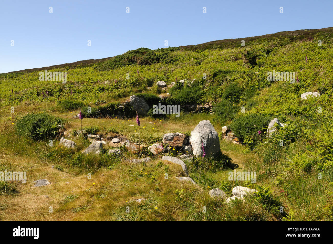 Gwyleddod Cytiau'r cabanes de pierre préhistoriques irlandais hut circles Holyhead Mountain Anglesey Pays de Galles Cymru UK GO Banque D'Images