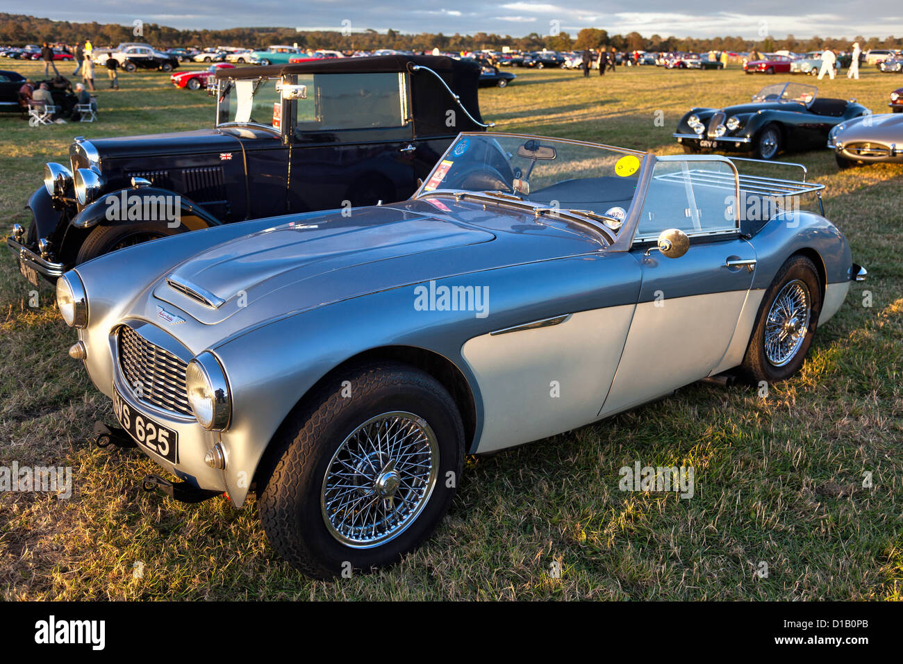 Old Austin Healey sports voiture garée à Goodwood Banque D'Images