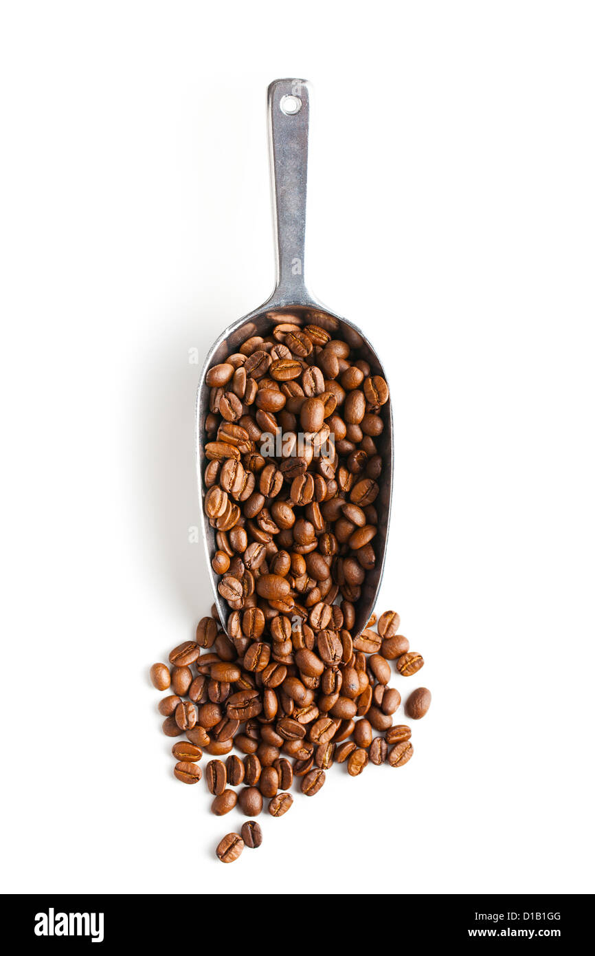 Metal scoop avec les grains de café sur fond blanc Banque D'Images