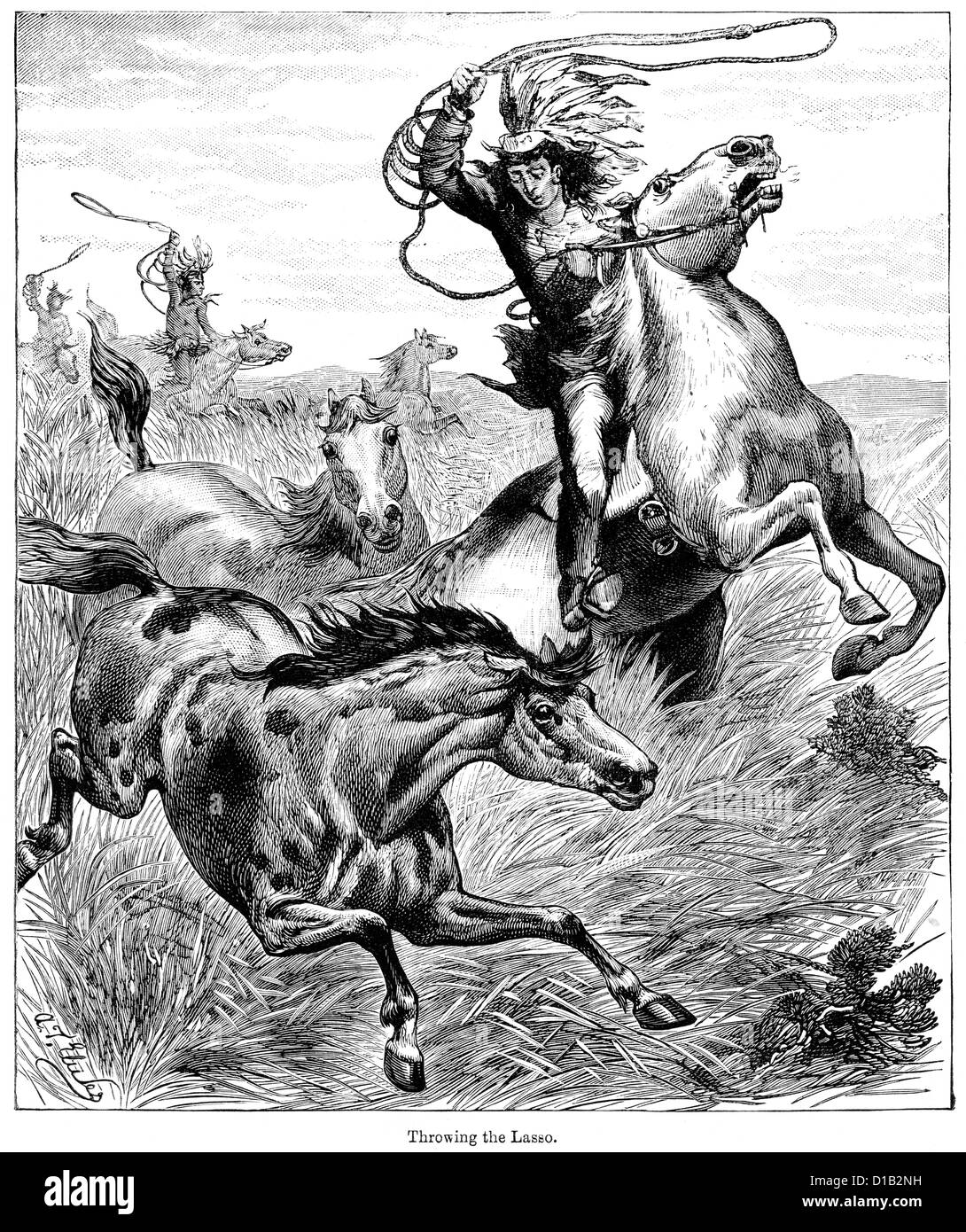 La gravure de l'époque victorienne d'un Native American Indian lancer un lasso sur un cheval sauvage Banque D'Images
