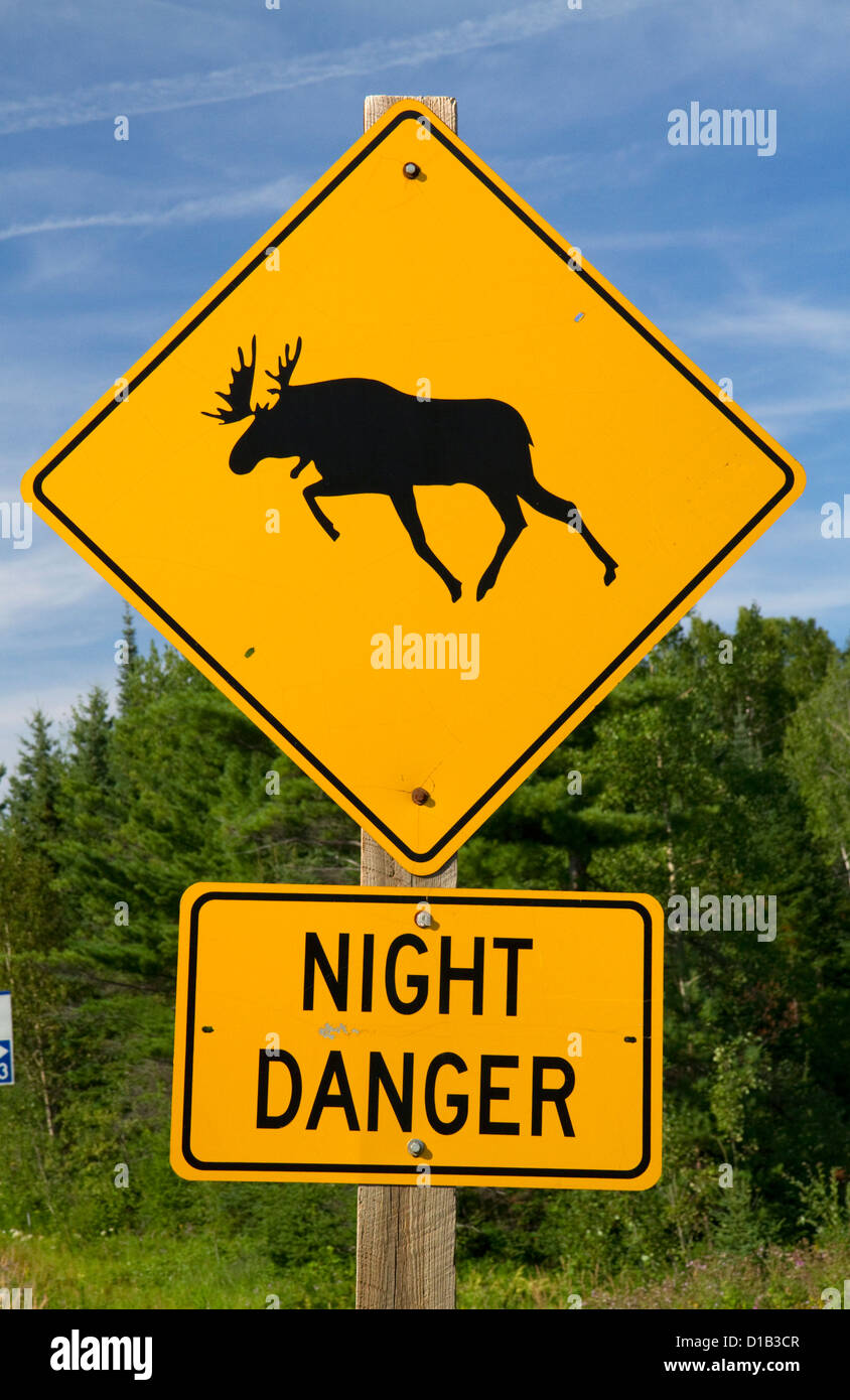 Panneau routier le long de la route 61 d'avertissement de passage à niveau à l'orignal en Ontario, Canada. Banque D'Images