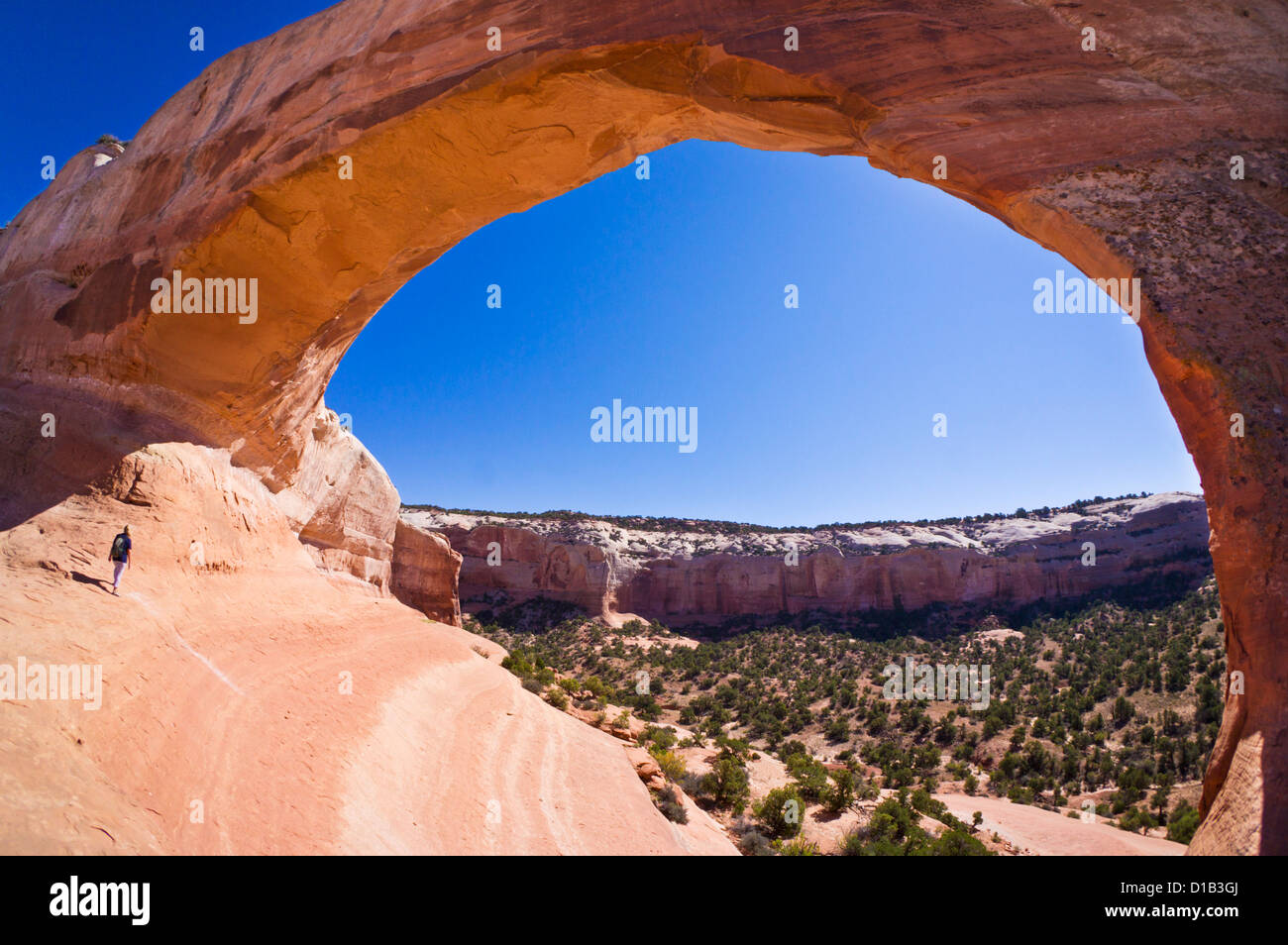 Tourisme au randonneur solitaire Wilson Arch, près de Moab, Utah, USA États-Unis d'Amérique, Amérique du Nord Banque D'Images