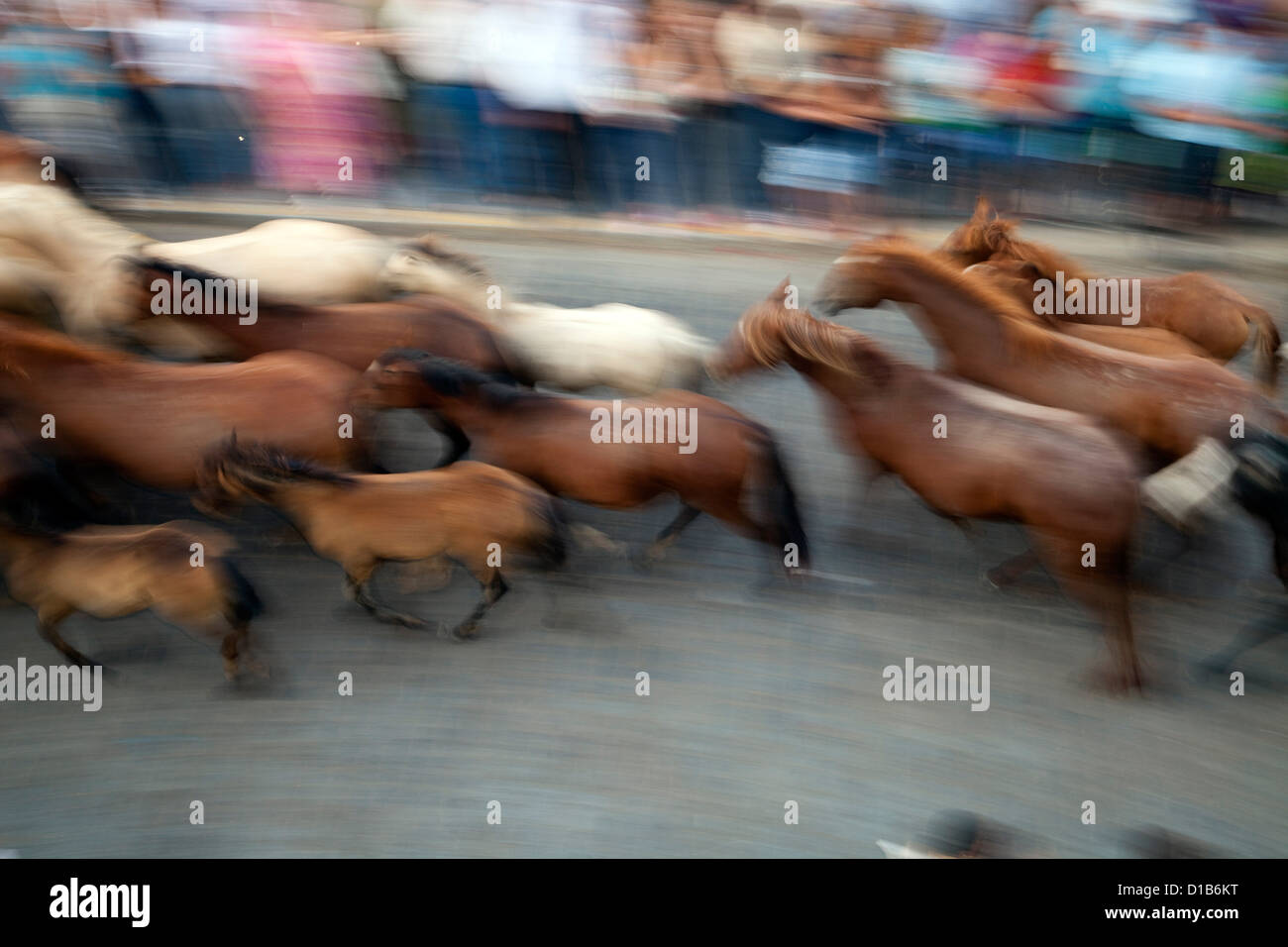 Almonte, Espagne, Saca de las yeguas - chevaux sont entraînés à travers la ville Banque D'Images