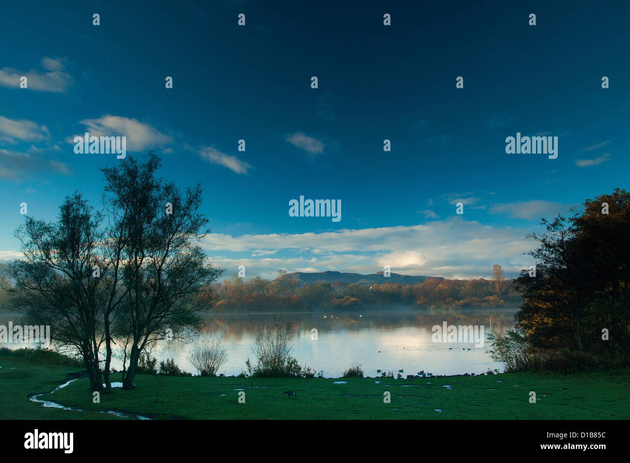 Duddingston Loch à l'aube, Holyrood Park, Édimbourg Banque D'Images