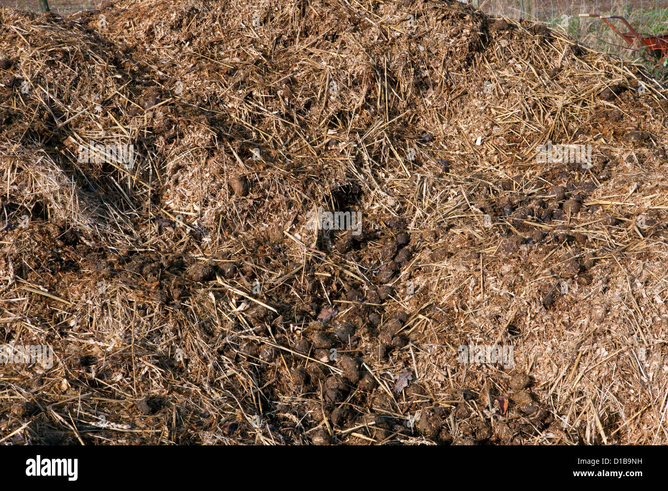 Tas de fumier de cheval recueillies dans les étables avec un mélange de paille et de copeaux de bois. Banque D'Images