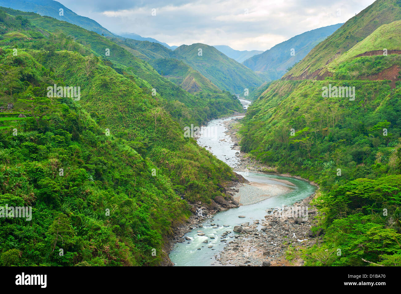 Rivière dans les montagnes de la Cordillère, Philippines Banque D'Images