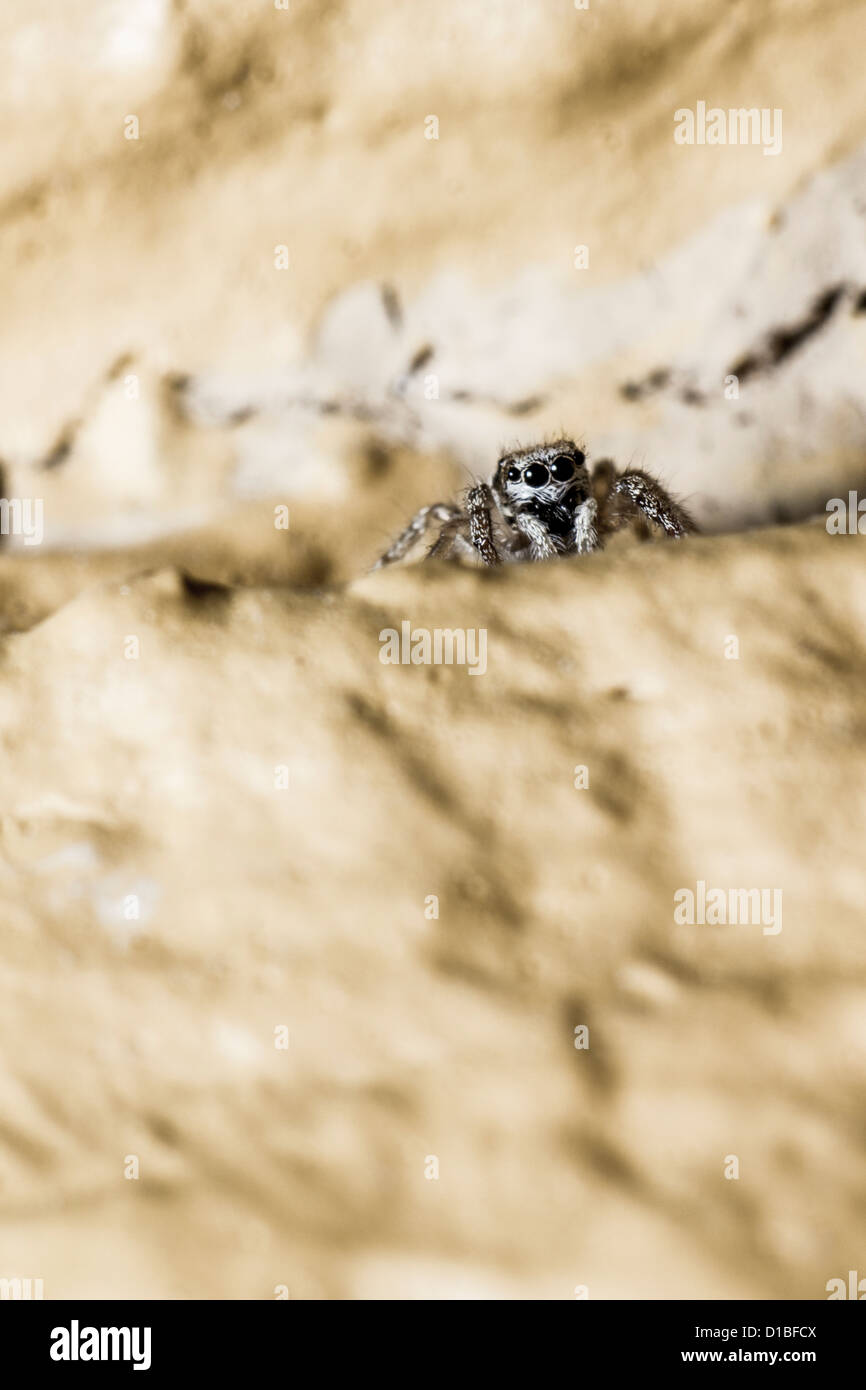 Bienvenue sur Mars Banque D'Images