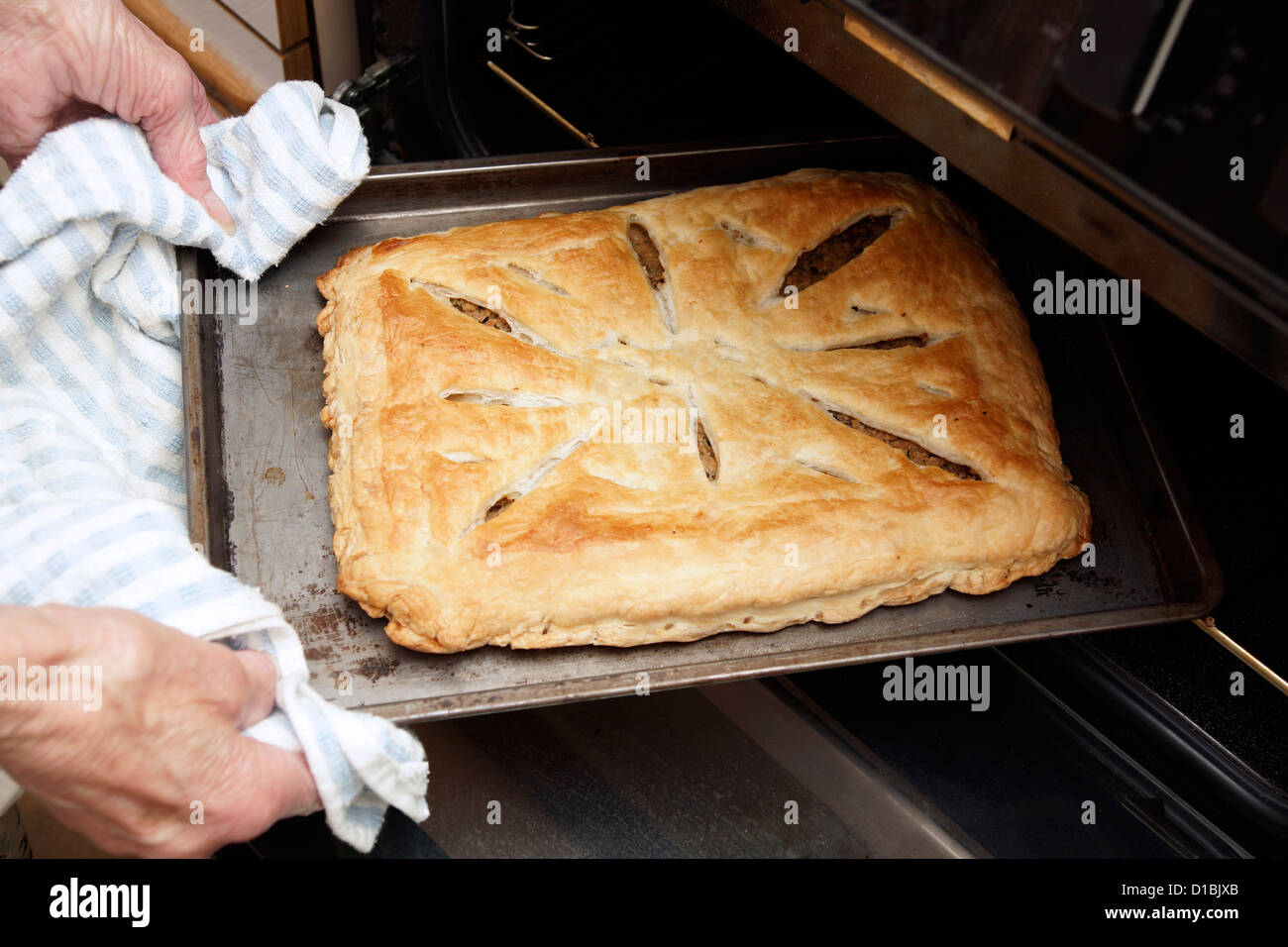 Femme âgée Accueil de cuisson en tenant une délicieuse pâtisserie tarte du four Banque D'Images