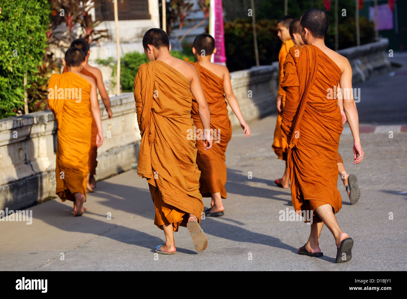 Les moines bouddhistes au Wat Chedi Luang temple, Chiang Mai, Thaïlande Banque D'Images