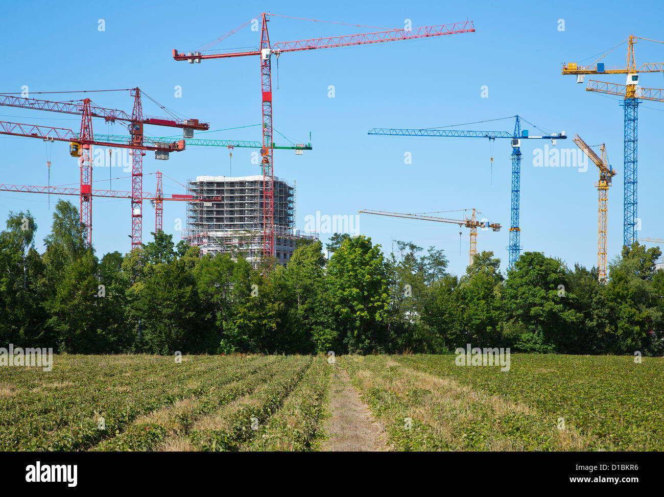 Grues sur un chantier de construction à proximité d'un domaine Banque D'Images