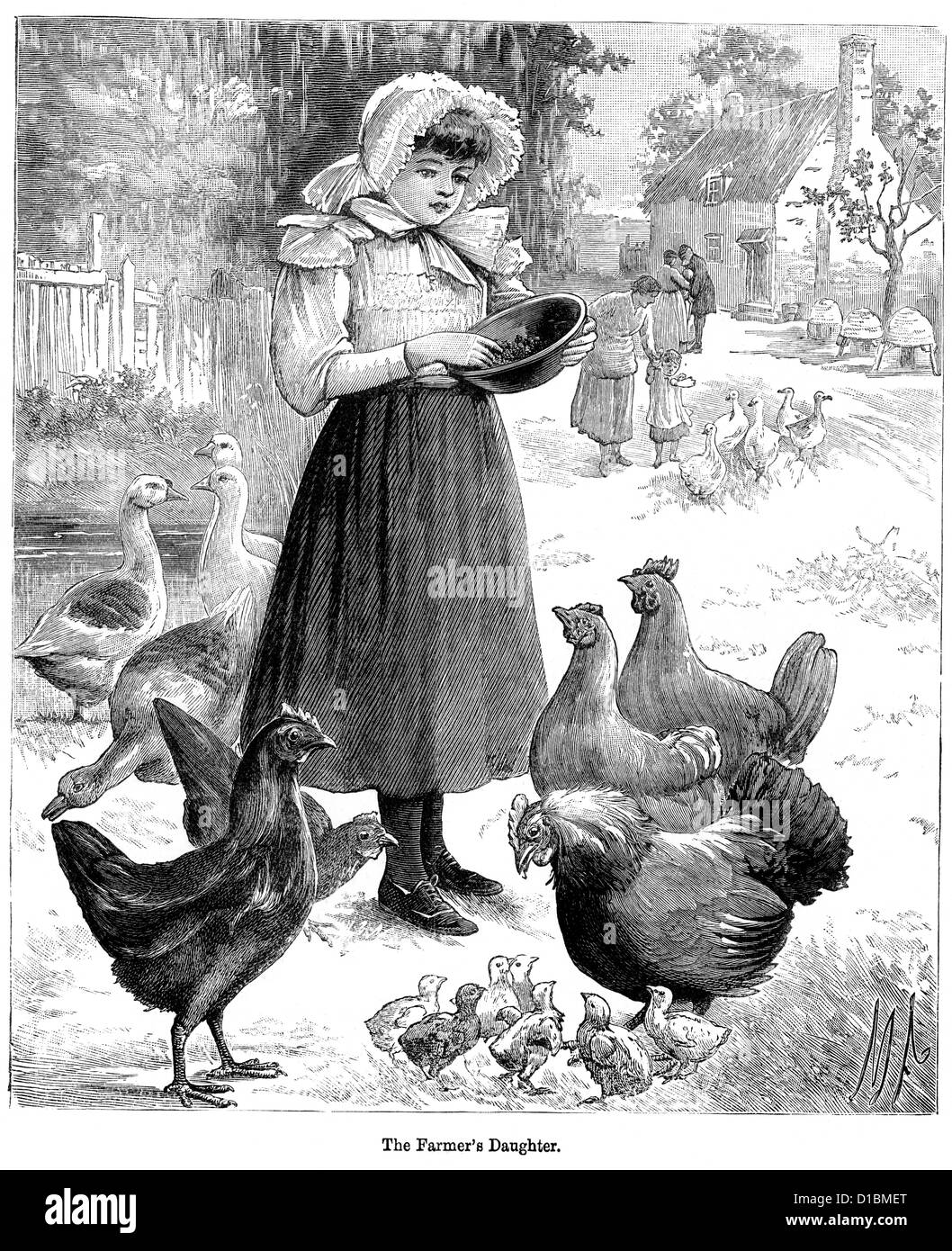 La gravure de l'époque victorienne d'un farmer's daughter à manger aux poules, 1897 Banque D'Images