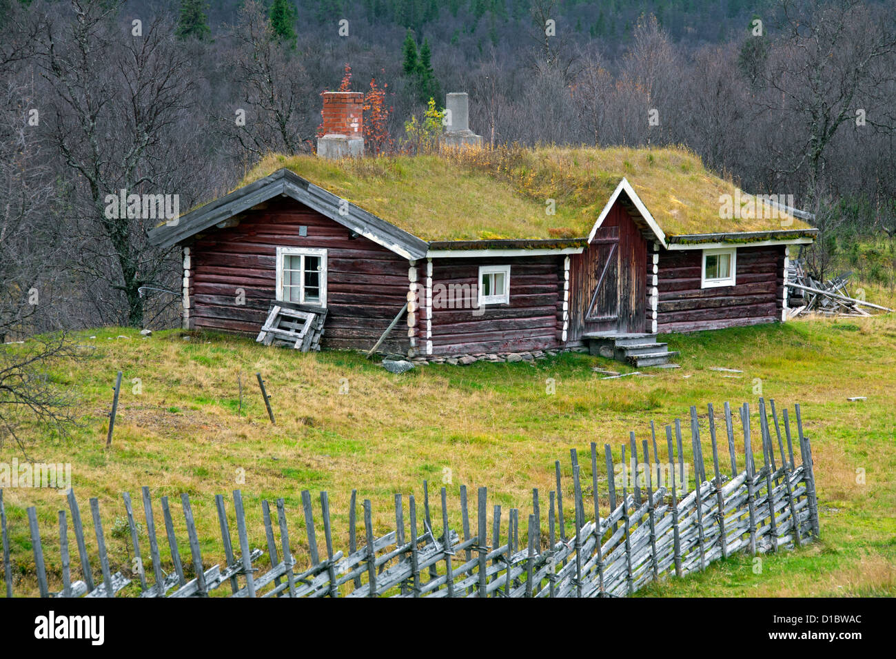 Gîte ferme traditionnelle en bois avec de l'herbe sur le toit en automne à Jämtland, Suède, Scandinavie Banque D'Images
