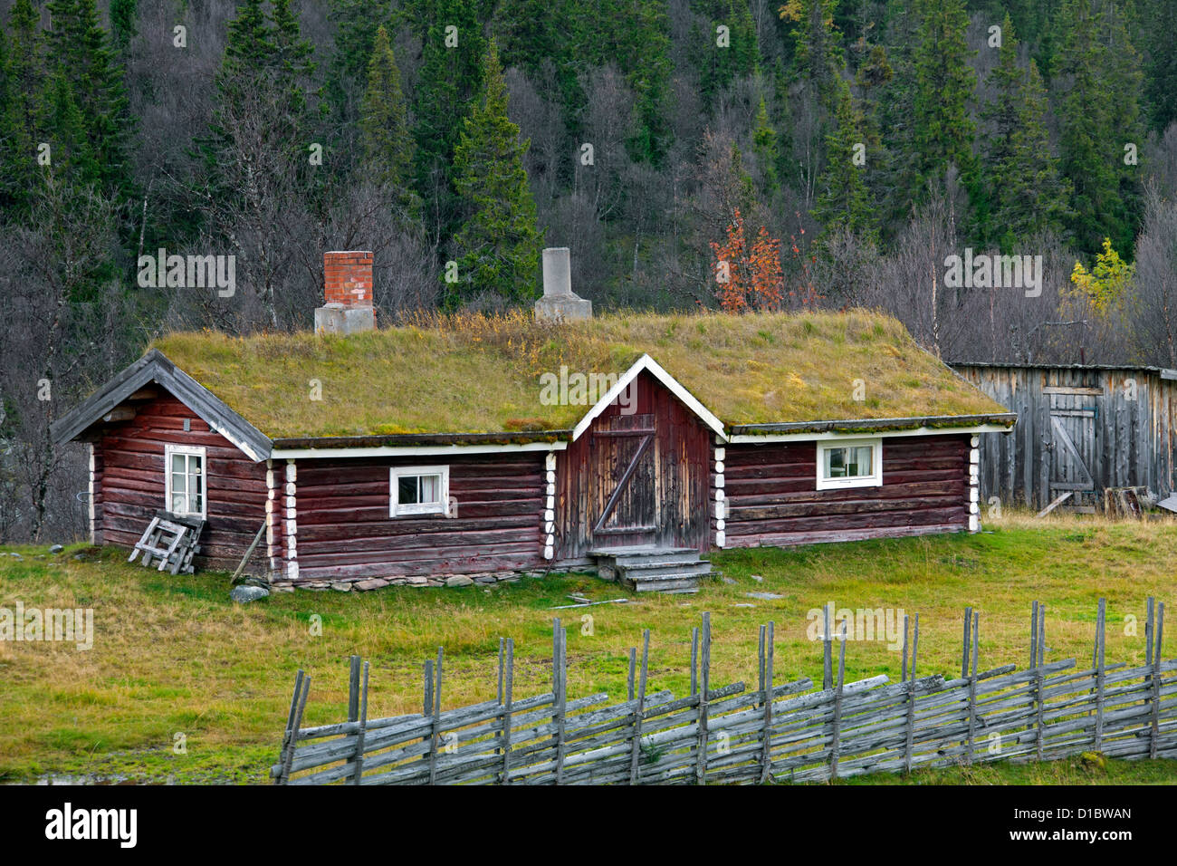 Gîte ferme traditionnelle en bois avec de l'herbe sur le toit en automne à Jämtland, Suède, Scandinavie Banque D'Images