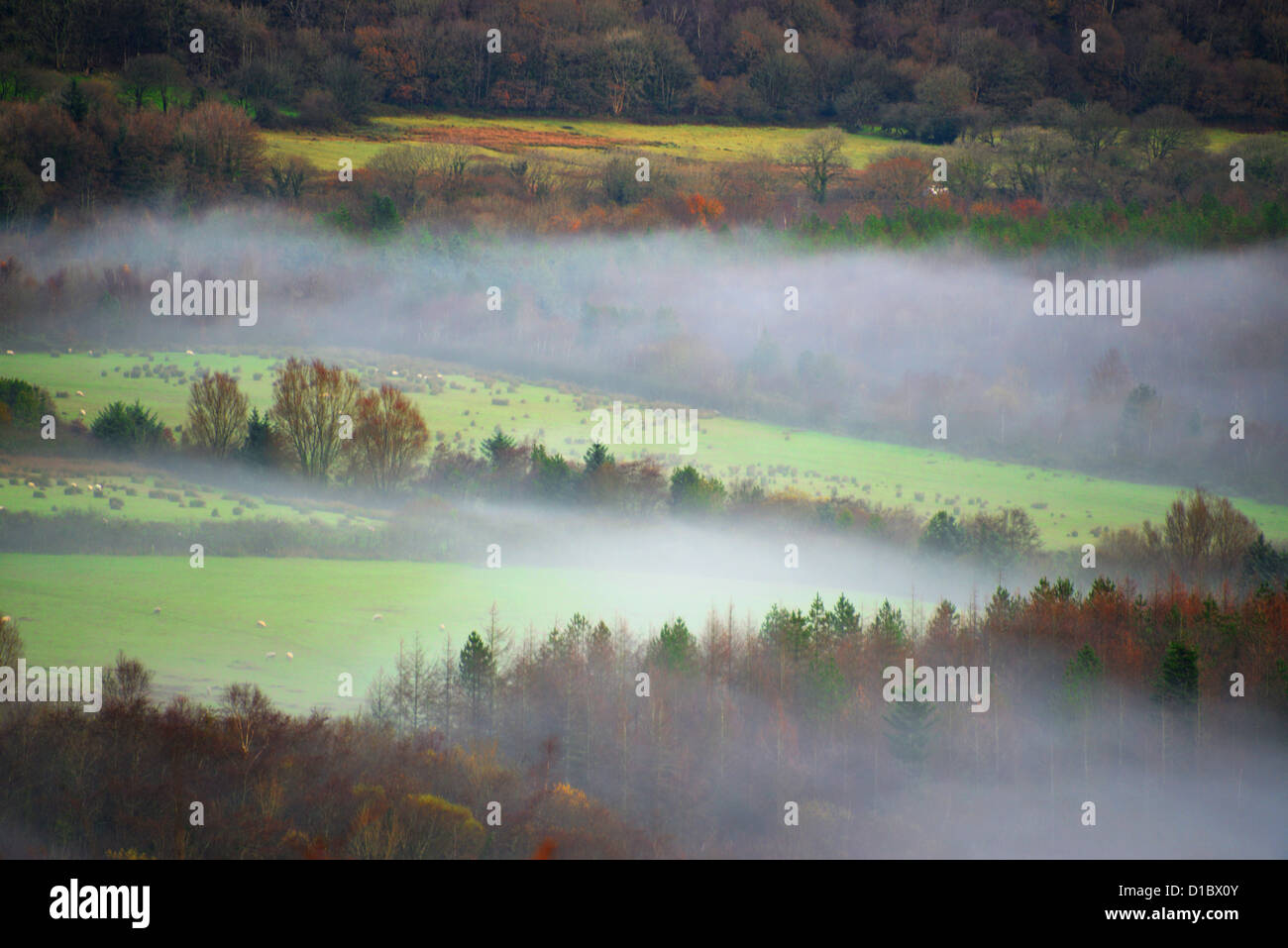 Tôt le matin brumeux welsh valley Banque D'Images