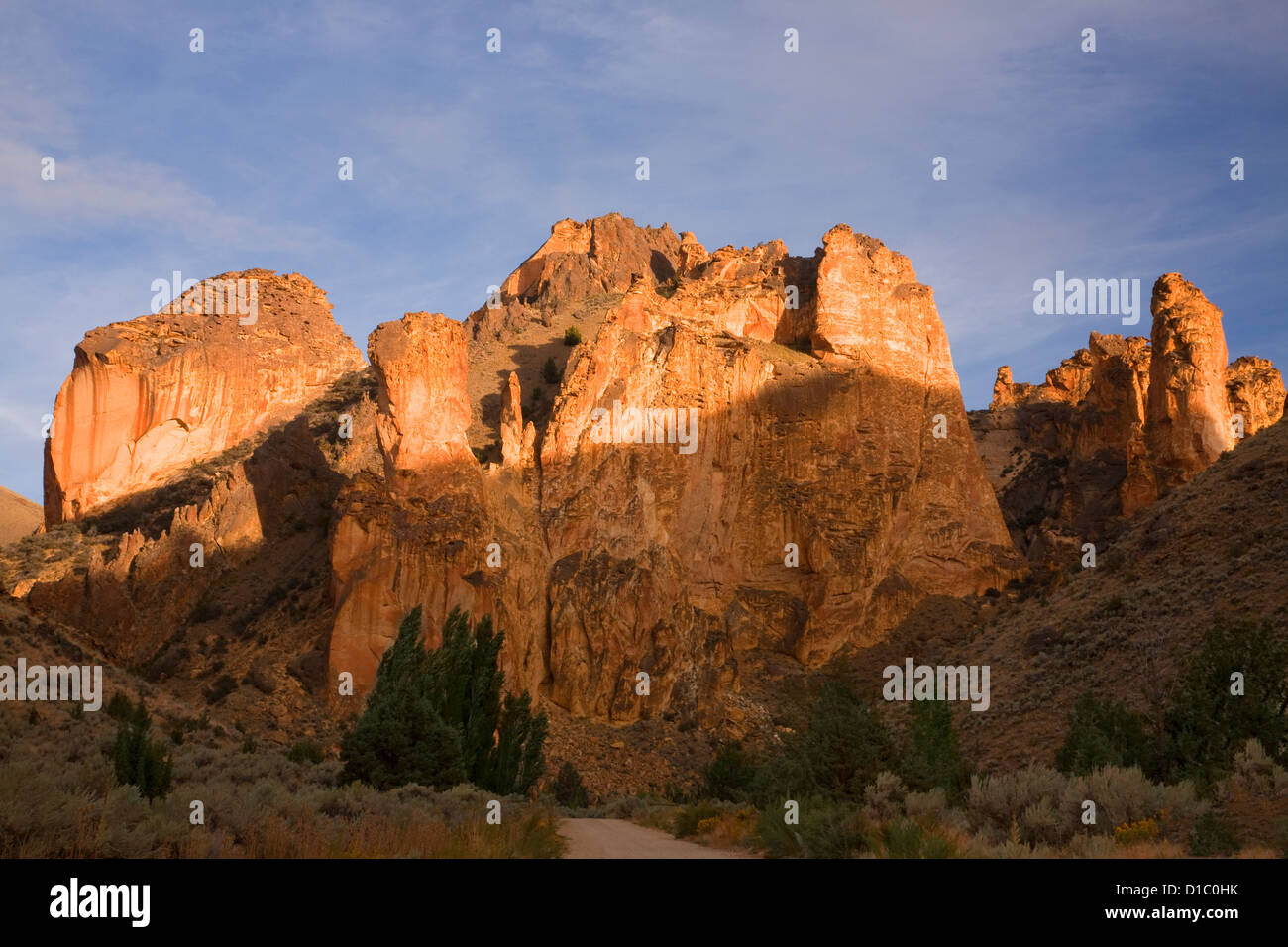 Ou00850-00...OREGON - route sinueuse par Leslie Gulch. Banque D'Images