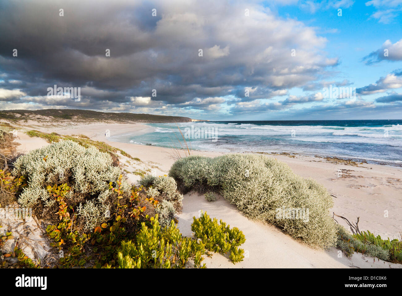 Le littoral à Hanson Bay, sur Kangaroo Island, Australie du Sud, Australie. Banque D'Images