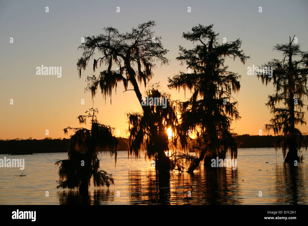 Coucher du soleil au lac Martin marais de cyprès et de la mousse espagnole, la Louisiane, l'UCA Banque D'Images