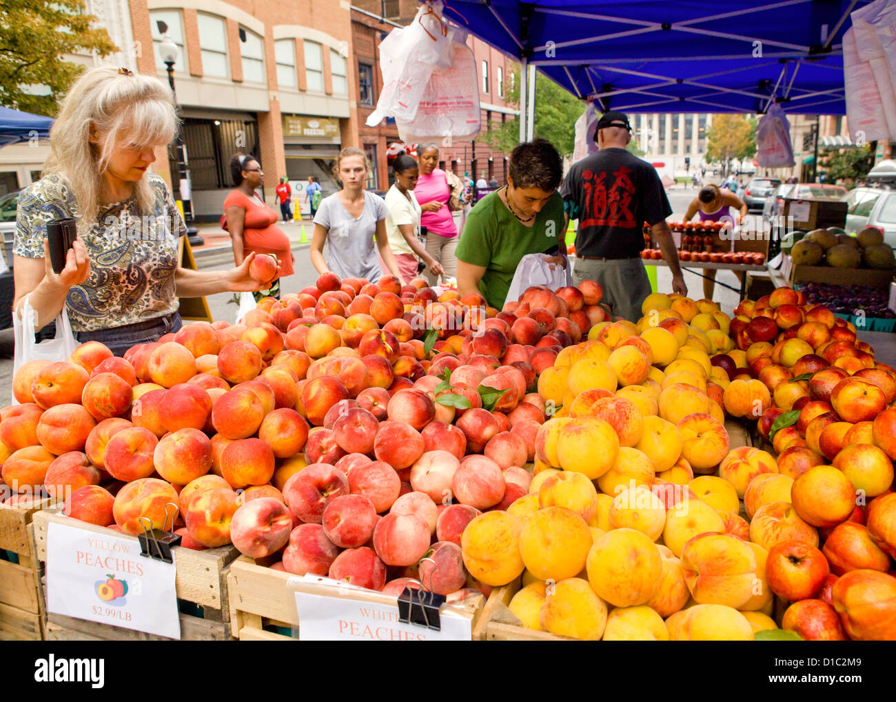 Stand de fruits en milieu urbain farmers market - Washington, DC USA Banque D'Images