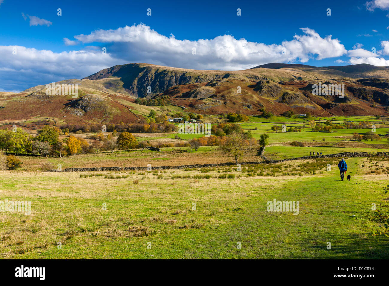 Vue sur Dale Bas vers Haut Rigg dans le Parc National de Lake District. Banque D'Images