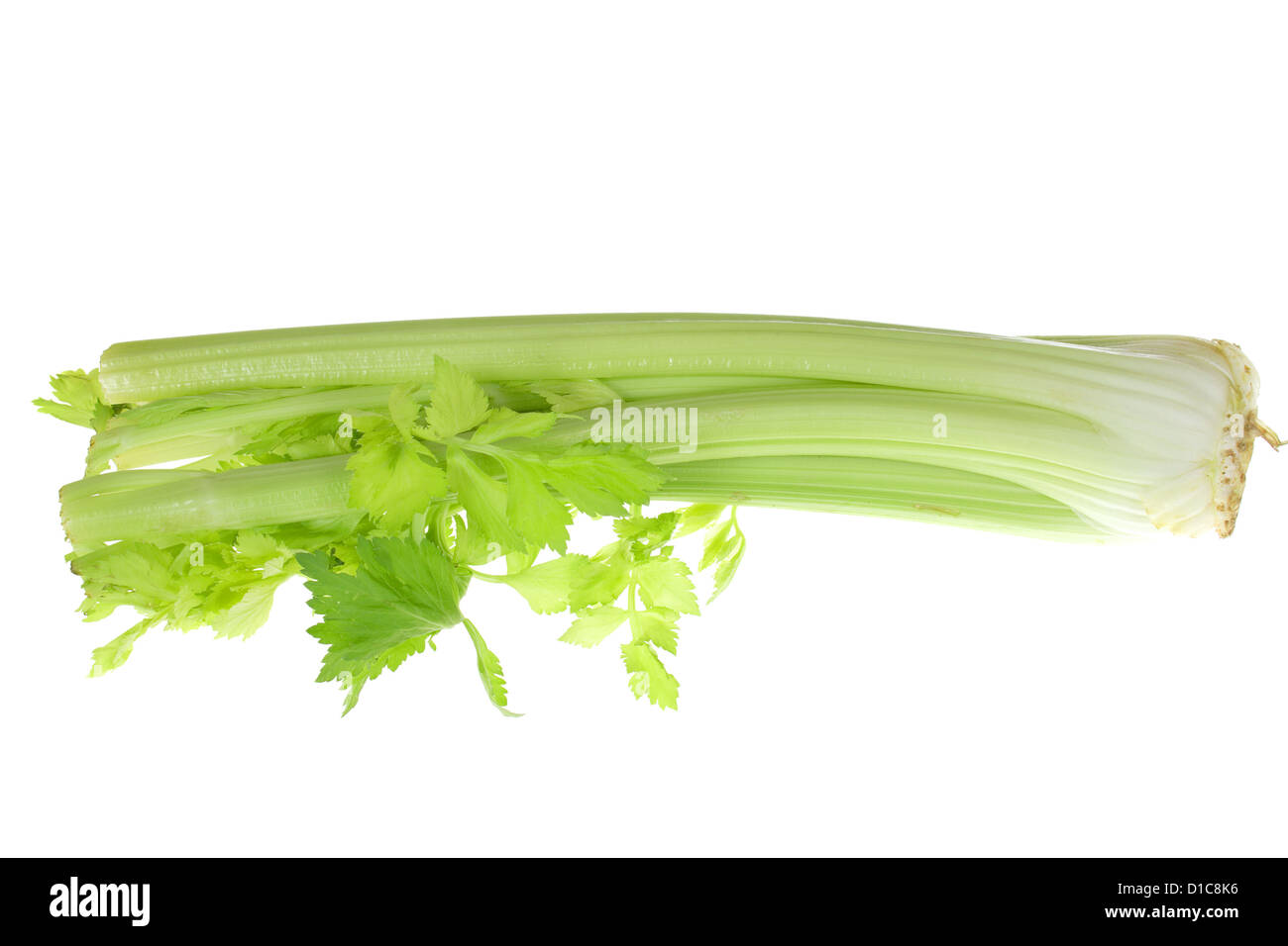 Photo de légumes céleri sur le fond blanc Banque D'Images