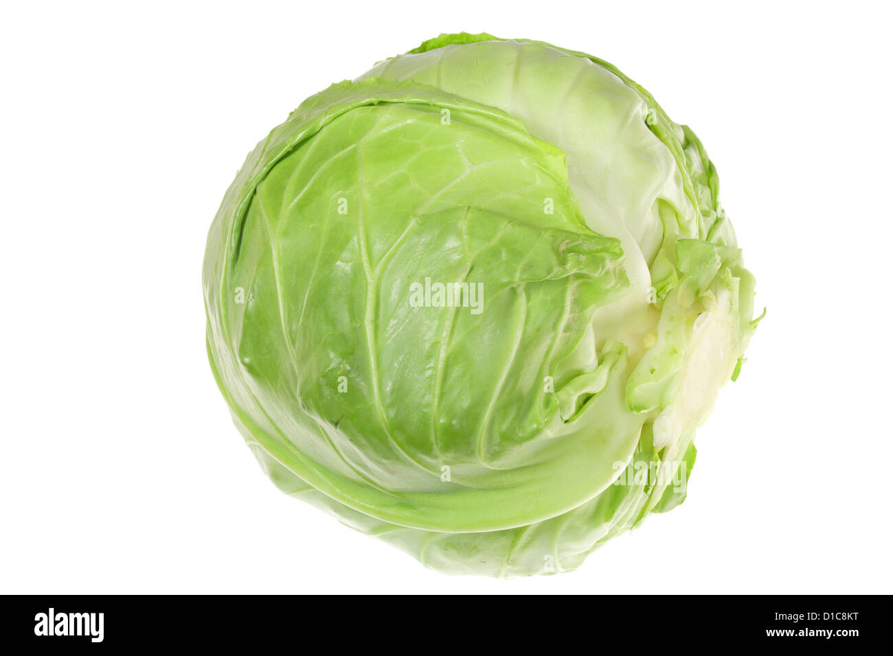Chou vert isolé sur fond blanc Banque D'Images