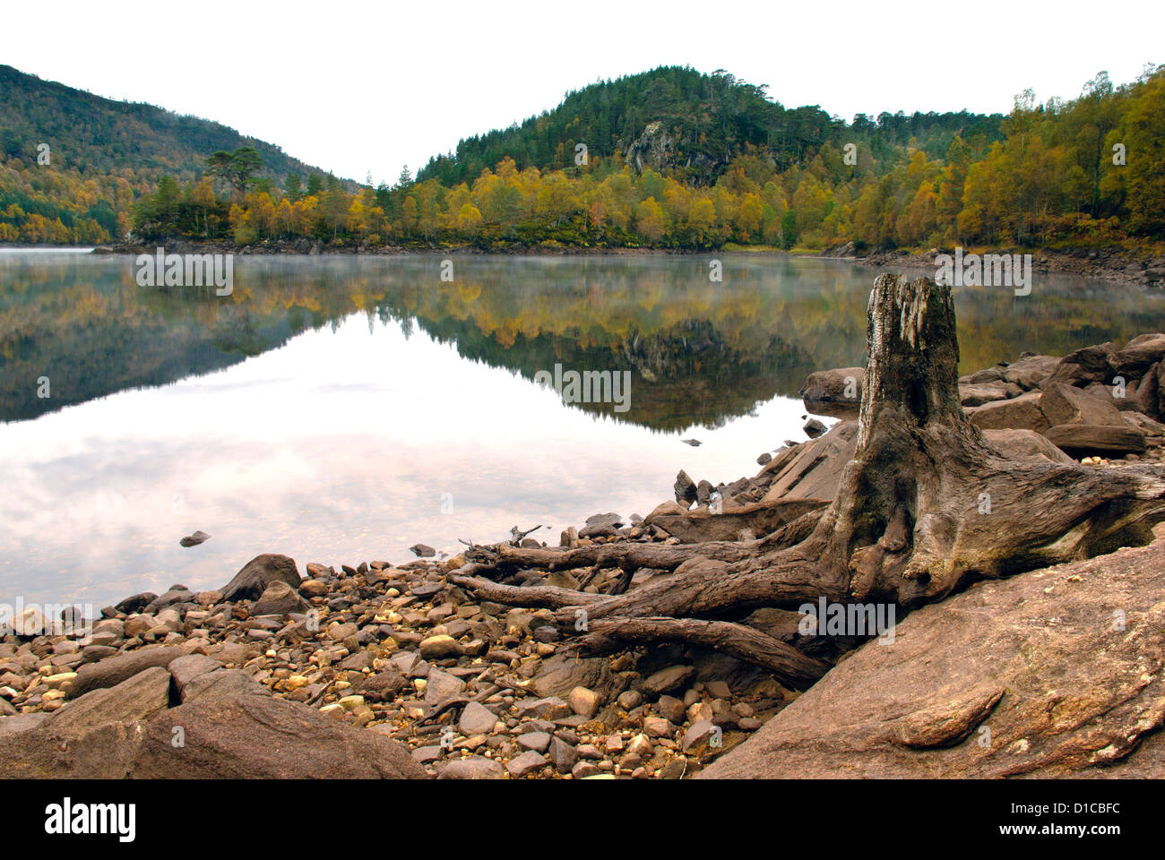 Glen Affric, Inverness Shire, Ecosse Banque D'Images