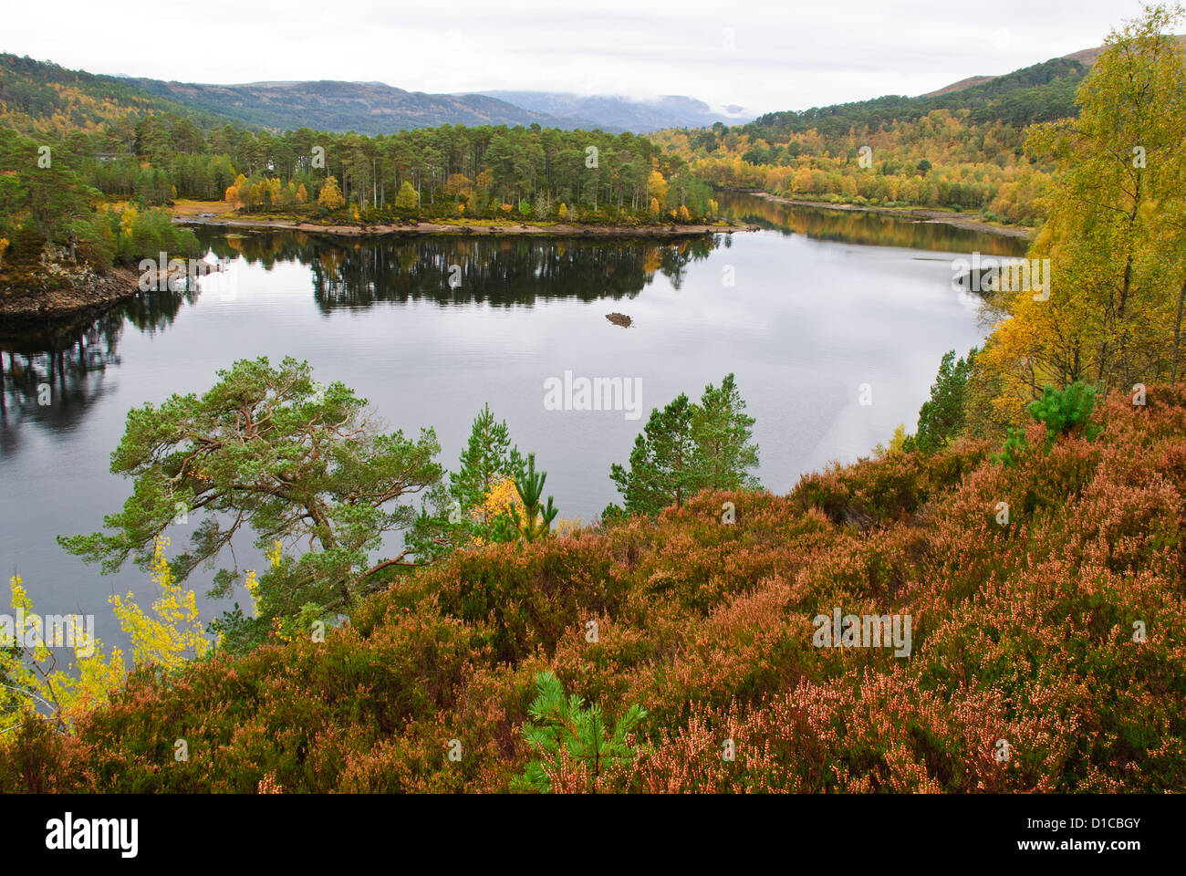 Glen Affric, Inverness Shire, Ecosse Banque D'Images