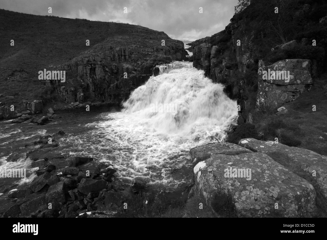 Image panoramique en noir et blanc, museau chaudron cascade, fleuve Tees, Maison du Maure Réserve naturelle nationale, la région de Teesdale, Banque D'Images