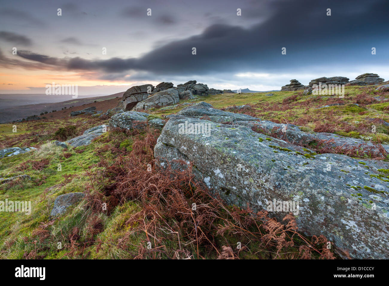 Les roches de granit sur la lande à Hayne vers le bas dans le parc national du Dartmoor. Banque D'Images