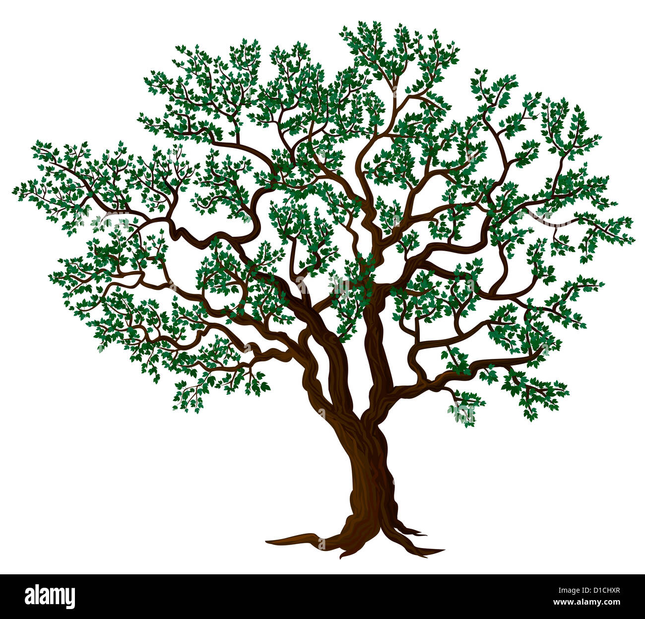 Arbre de vecteur Banque D'Images