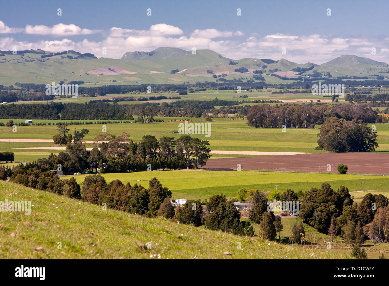 Les terres agricoles, à l'égard Ruahine de répartition, au sud de Napier, à partir de la Route 2, île du nord, en Nouvelle-Zélande. Banque D'Images