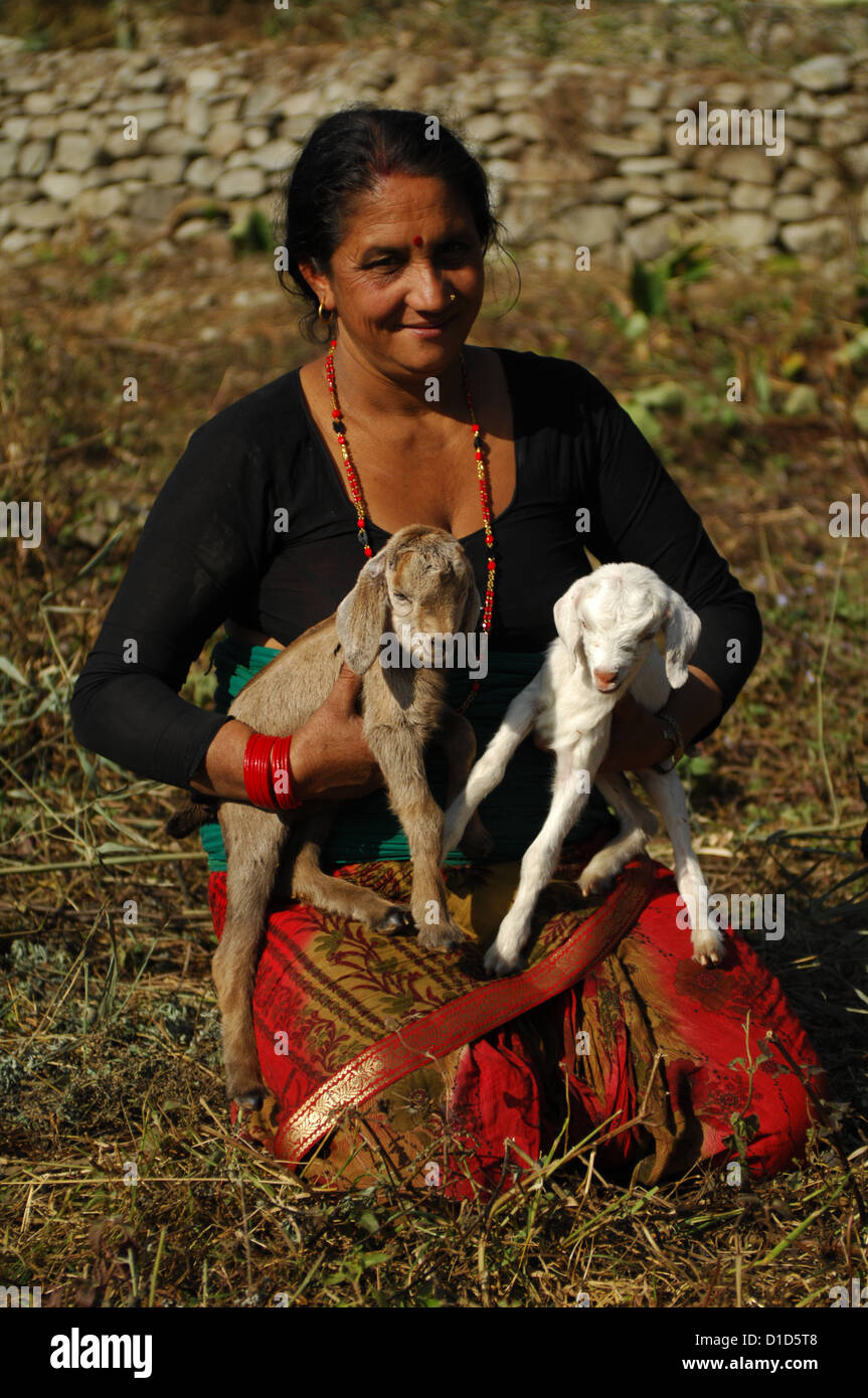 Une Népalaise femme avec deux chèvres en nouveau-né Phokara, Népal. Les chèvres sont de trois jours, Banque D'Images