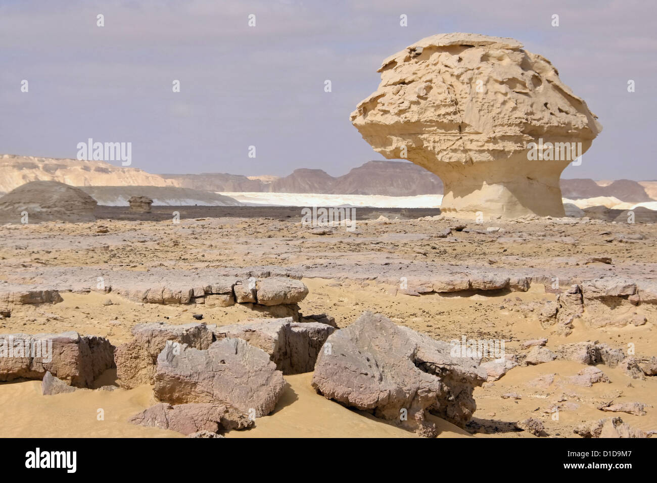 Le vent, le soleil et le sable sculptures calcaires modélisées dans le désert blanc, Egypte Banque D'Images