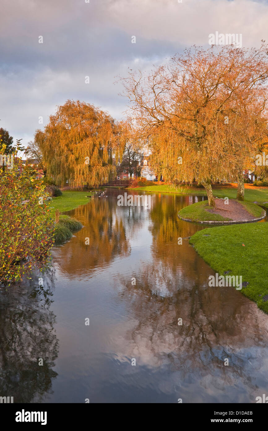 Elizabeth Gardens Park dans la ville de Salisbury. Banque D'Images