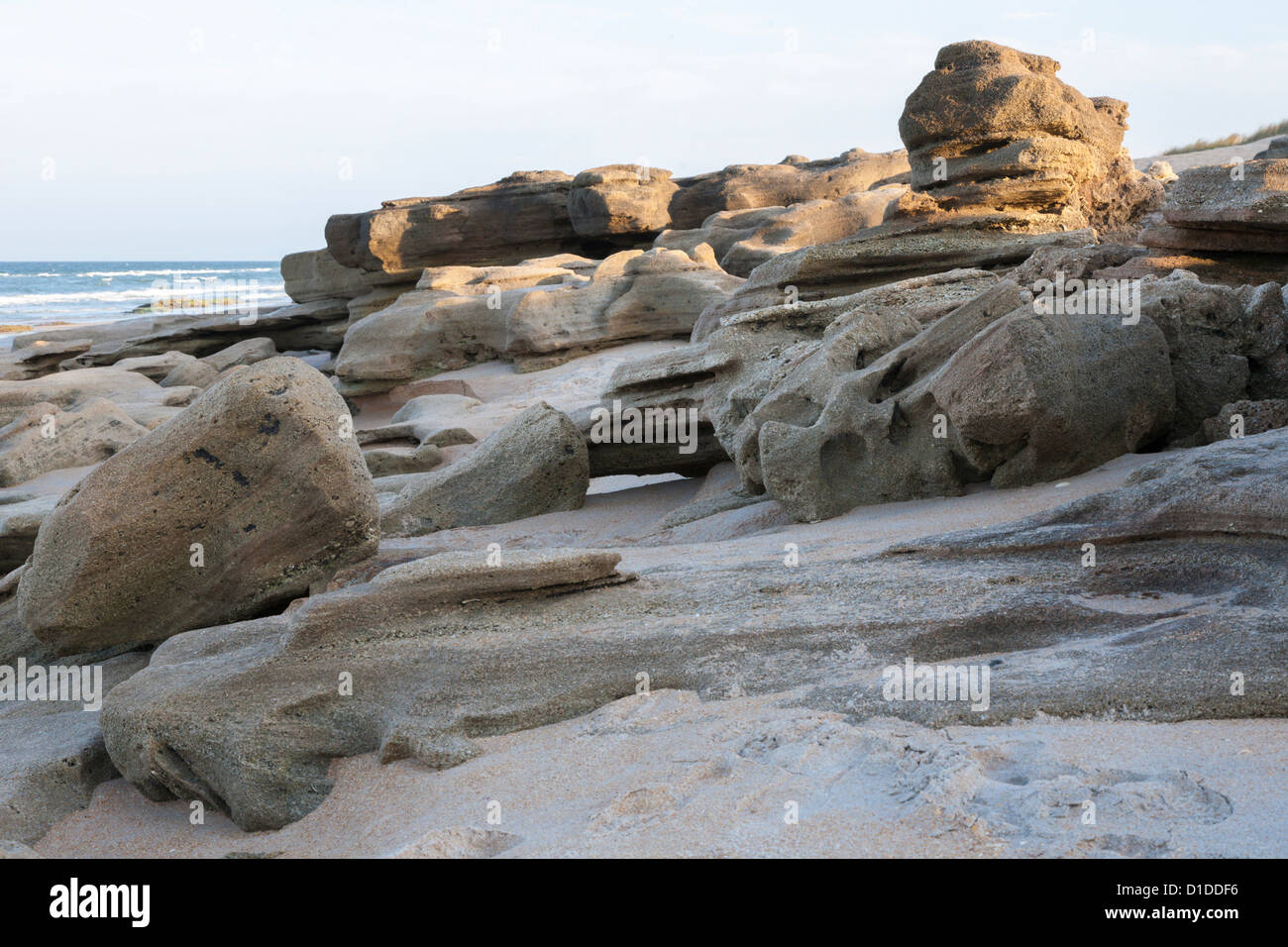 Coquina rock formations le long des côtes de l'océan Atlantique à Washington Oaks Gardens State Park en Floride, USA Banque D'Images