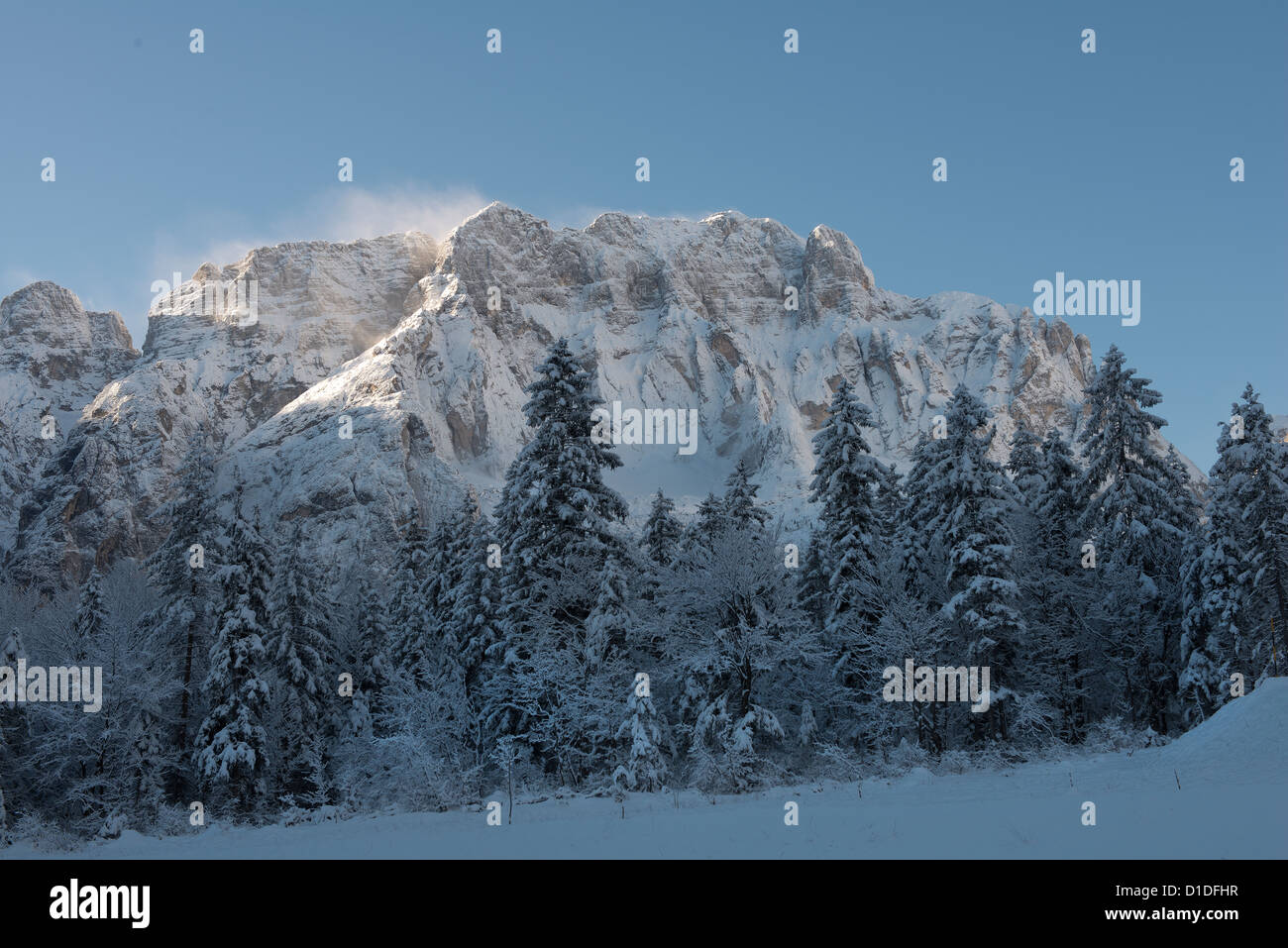Une vue sur le mont Jof di Montasio en hiver Banque D'Images