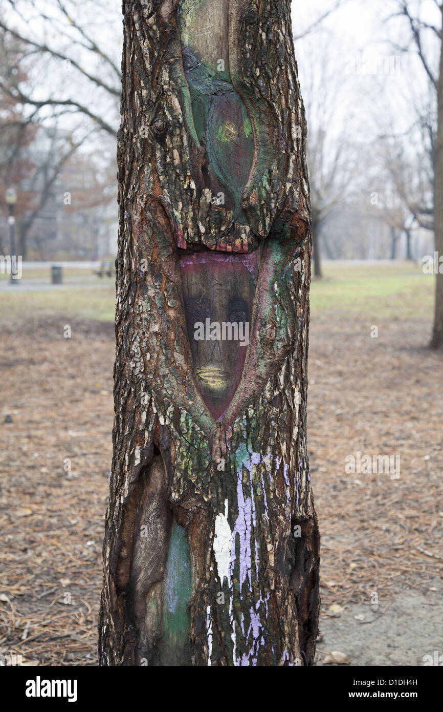 Tronc de l'arbre utilisé comme d'une toile de l'art dans la région de Prospect Park, Brooklyn, New York. Banque D'Images