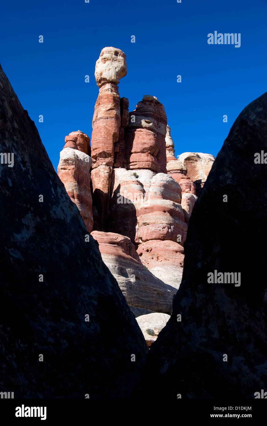 Rochers et pinnicles dans les aiguilles District de Canyonlands National Park, en Utah. Banque D'Images
