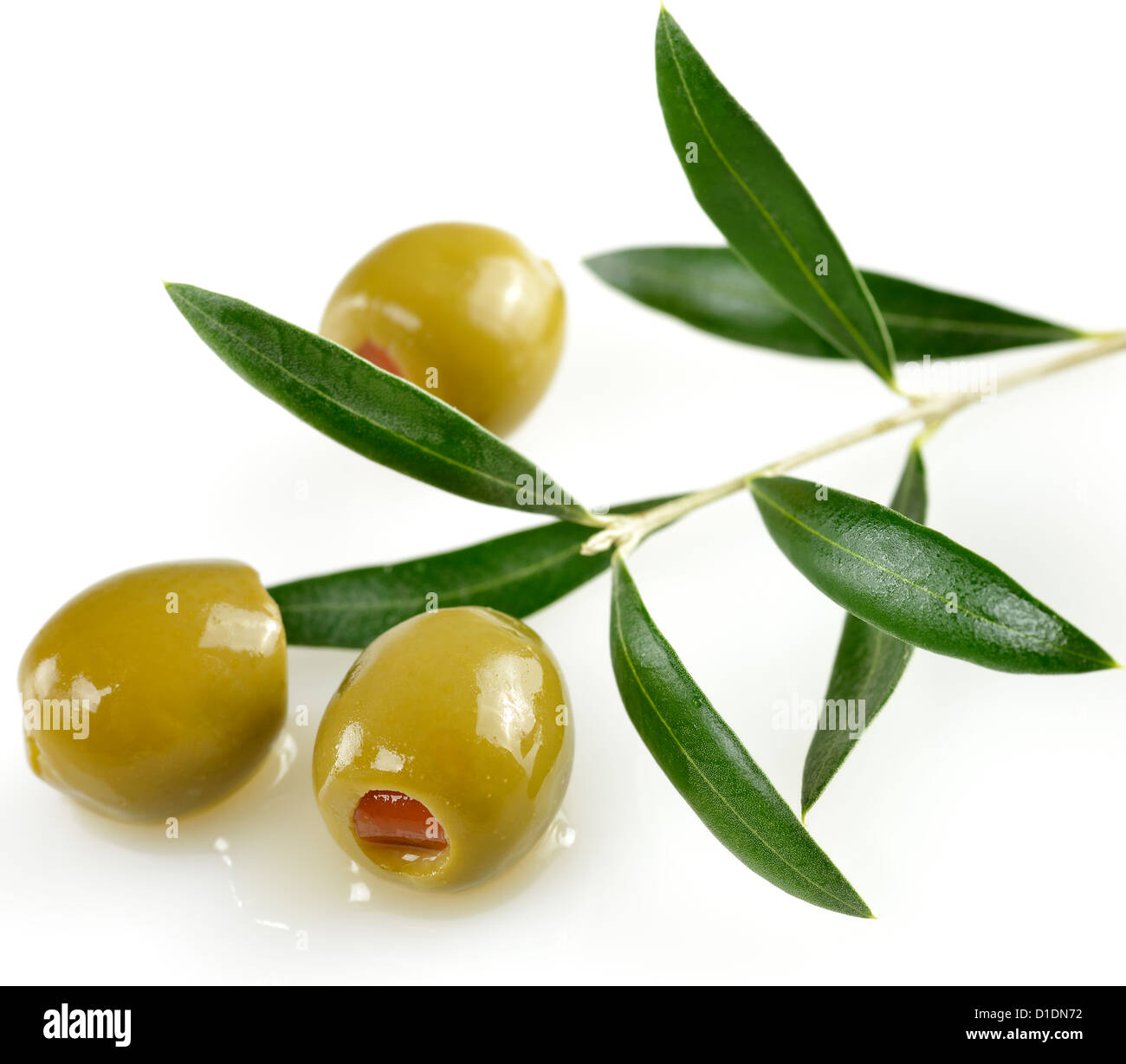 Olives vertes avec un rameau d'Olivier Banque D'Images
