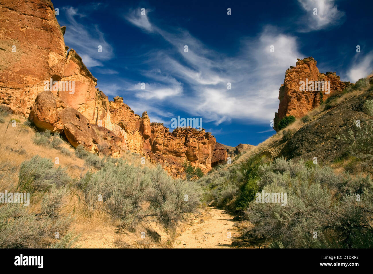 Ou...00893-00 - Oregon Trail jusqu'Juniper Gulch, un canyon à Leslie Gulch près de Valley Lake. Banque D'Images