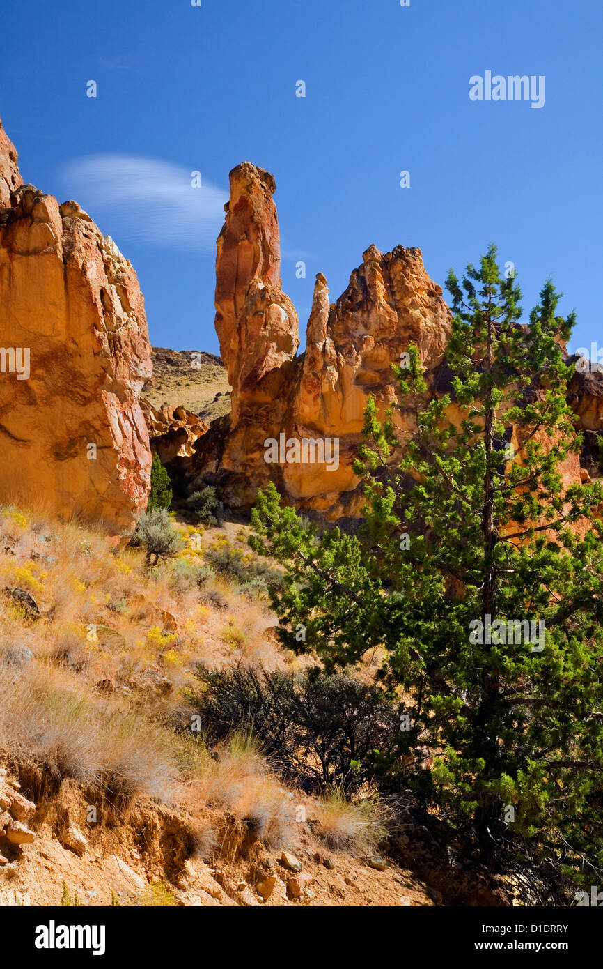 Ou...00897-00 - OREGON,patiné érodé et ponctuées de tuf volcanique dans Juniper Gulch, un canyon latéral de Leslie Gulch. Banque D'Images