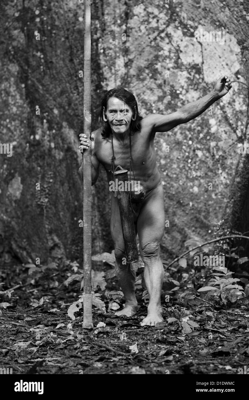 Portrait typique chasseur Huaorani Réserve Waorani Parc national Yasuni Equateur tirer dans la jungle dans les feux de l'air ambiant Banque D'Images