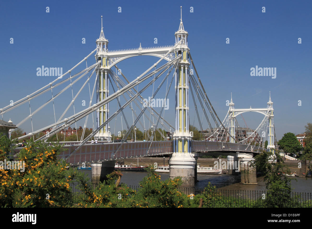 Albert Bridge over River Thames, Battersea, Londres, Angleterre, Royaume-Uni, Europe Banque D'Images