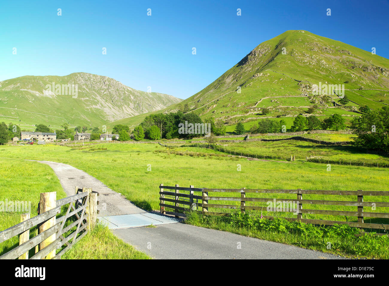 Hartsopp Dodd, près de Penrith, Parc National de Lake District, Cumbria, Angleterre, Royaume-Uni, Europe Banque D'Images